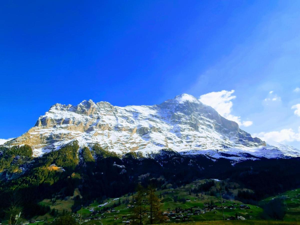 Chalet M Grindelwald Dış mekan fotoğraf