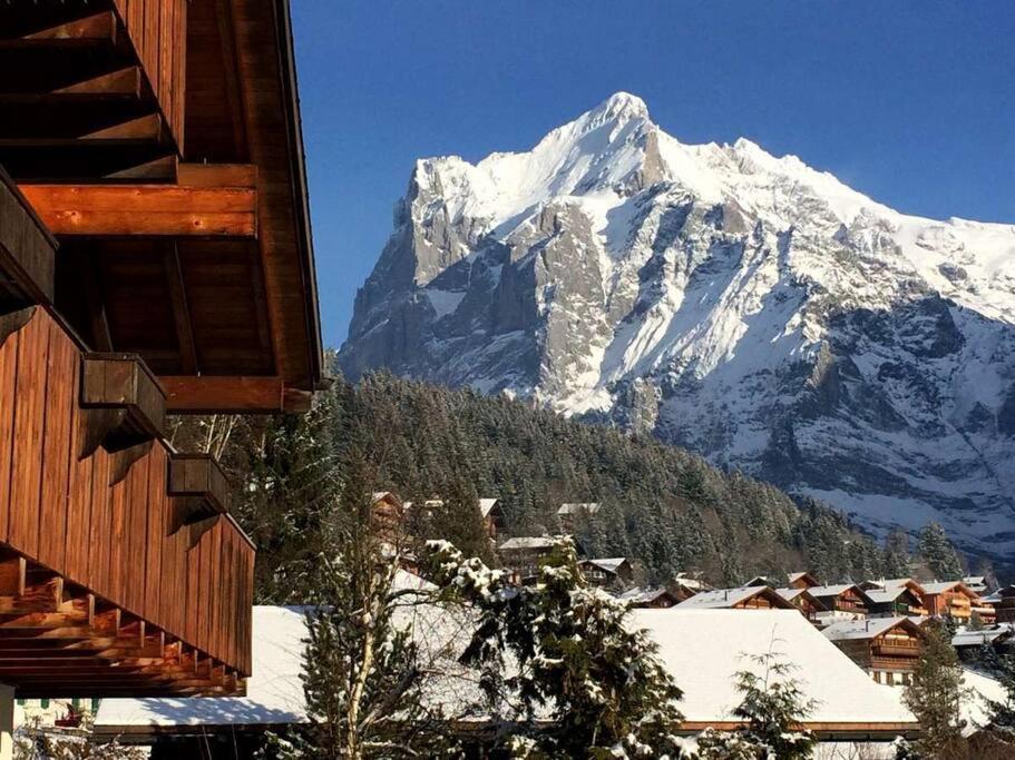 Chalet M Grindelwald Dış mekan fotoğraf